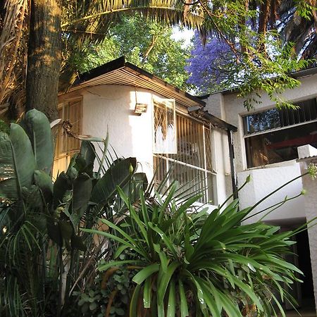 Rosebank Hostel 요하네스버그 외부 사진
